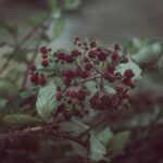 Prawna ochrona marki – w jaki sposób może pomóc
